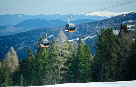 shutterstock_1235858920