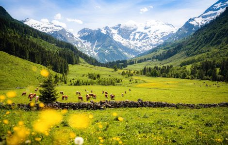 shutterstock_1722139093