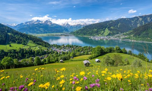 shutterstock_2177374473-min