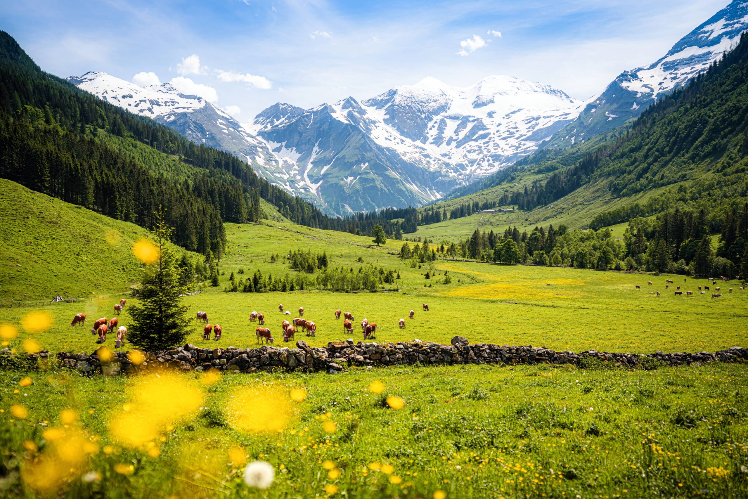 shutterstock_1722139093
